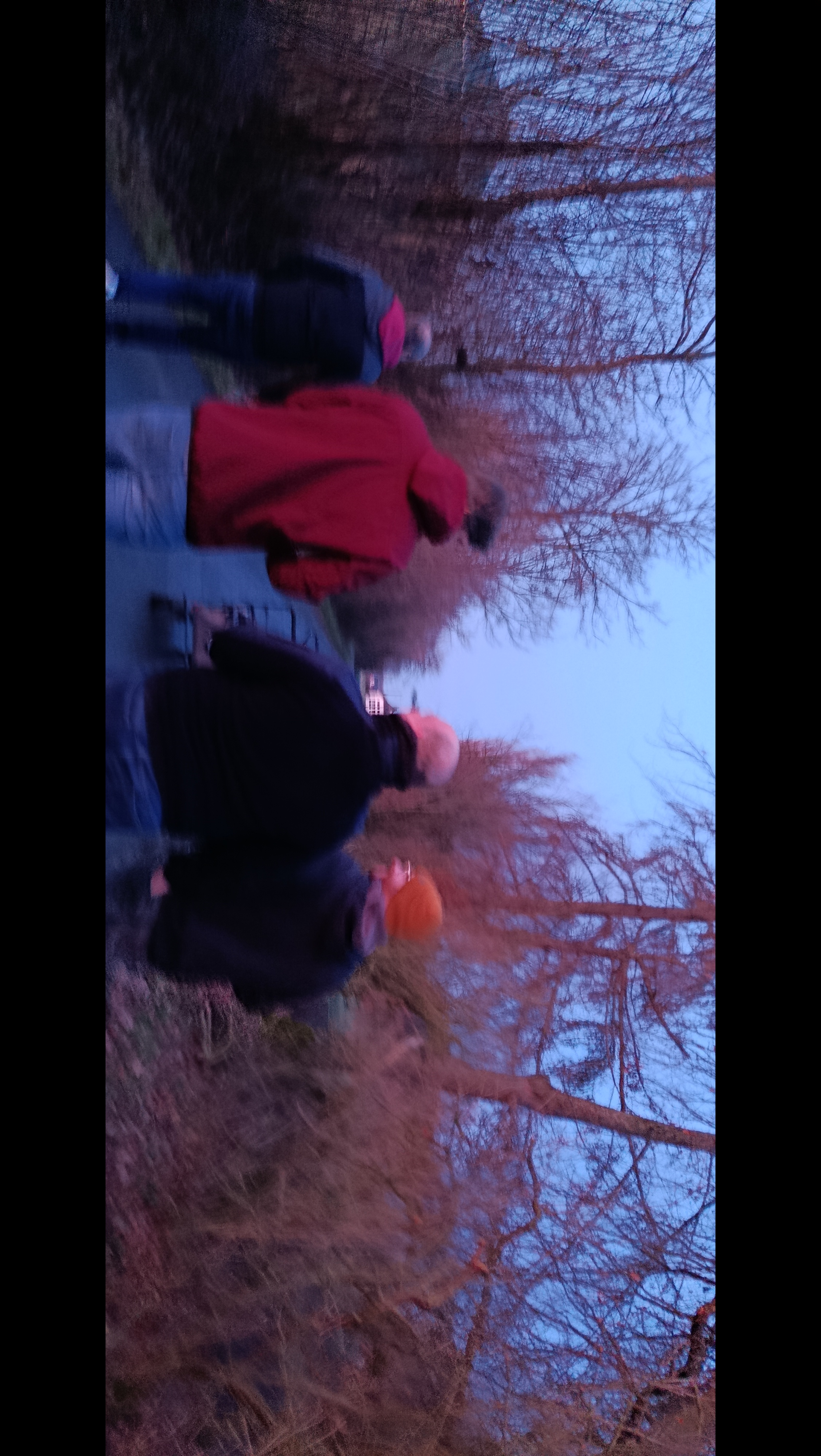 IMG_20260117_171209.jpg